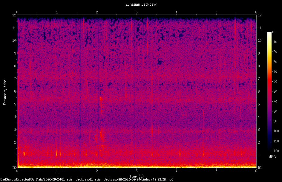 Spectrogram of a Eurasian Jackdaw recorded at 18:23:20