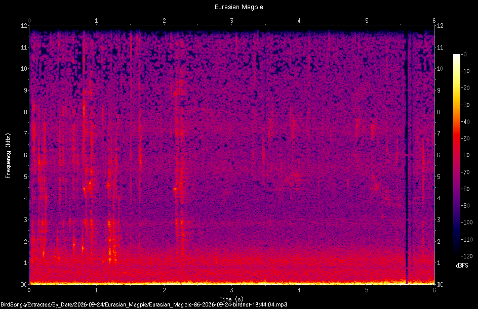Spectrogram of a Eurasian Magpie recorded at 18:44:04