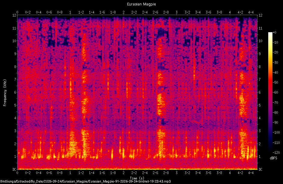 Spectrogram of a Eurasian Magpie recorded at 19:23:43