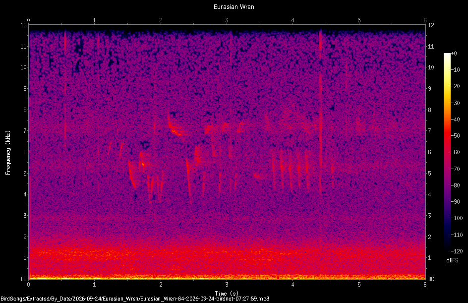 Spectrogram of a Eurasian Wren recorded at 07:27:59