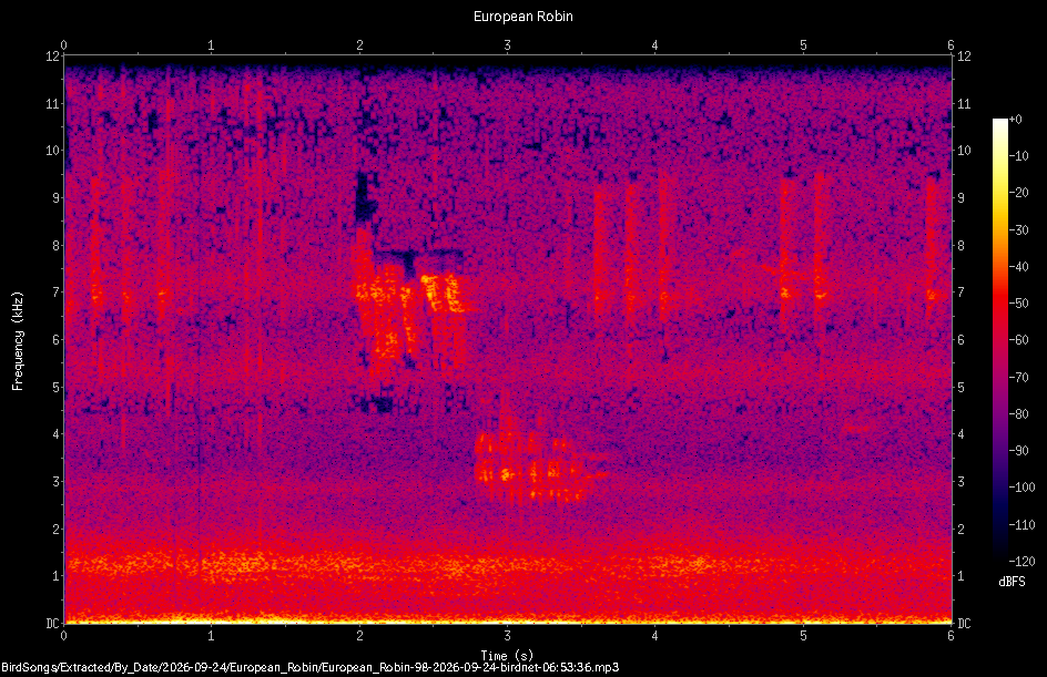 Spectrogram of a European Robin recorded at 06:53:36
