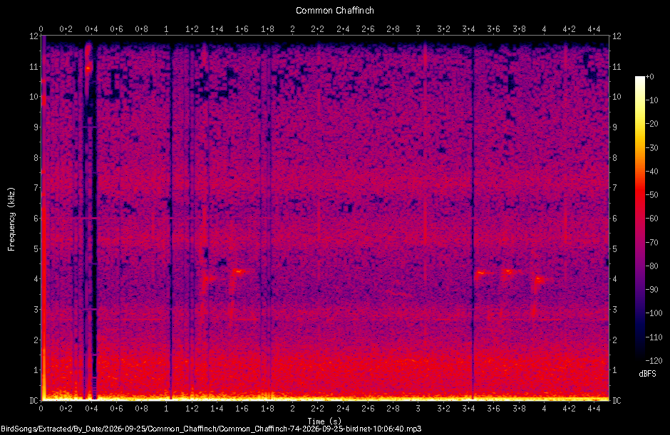 Spectrogram of a Common Chaffinch recorded at 10:06:40