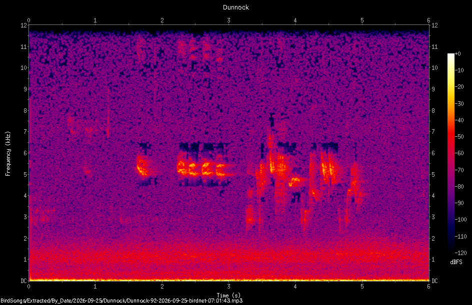 Spectrogram of a Dunnock recorded at 07:01:43