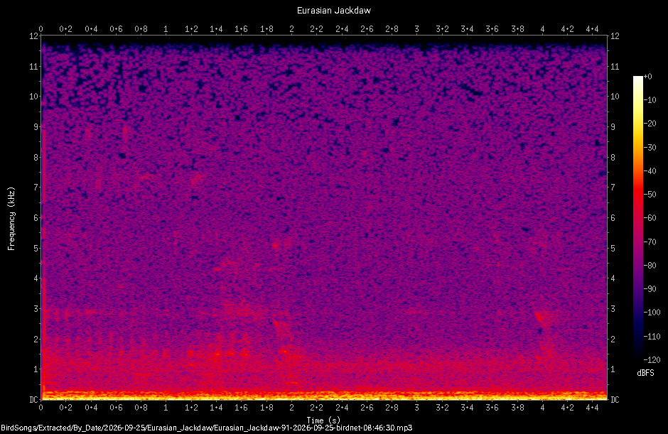 Spectrogram of a Eurasian Jackdaw recorded at 08:46:30