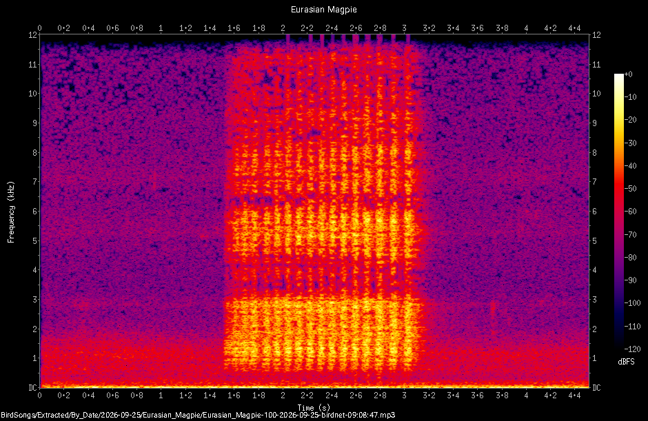 Spectrogram of a Eurasian Magpie recorded at 09:08:47