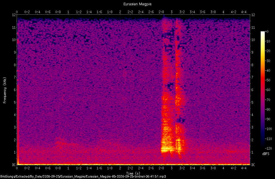Spectrogram of a Eurasian Magpie recorded at 06:41:51