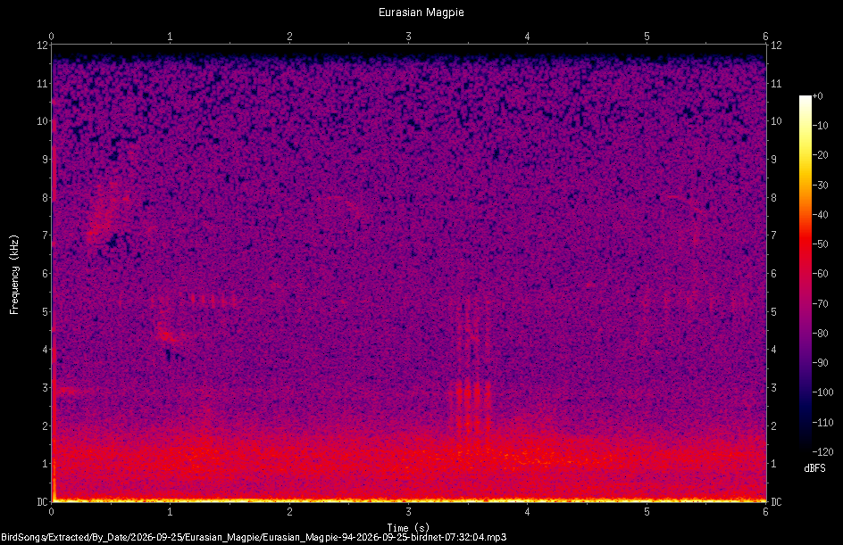 Spectrogram of a Eurasian Magpie recorded at 07:32:04