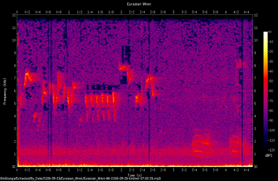 Spectrogram of a Eurasian Wren recorded at 07:00:25