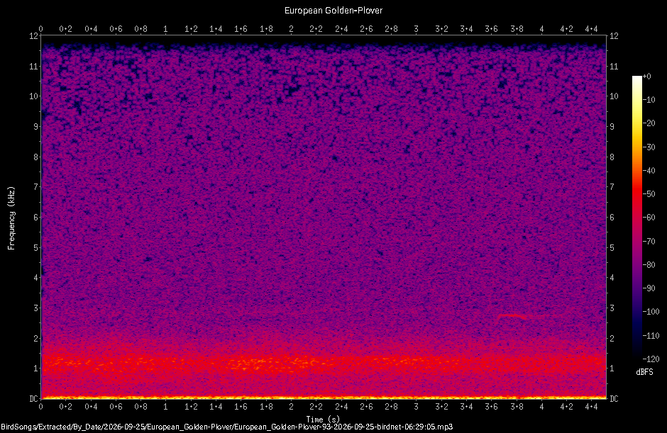 Spectrogram of a European Golden-Plover recorded at 06:29:05