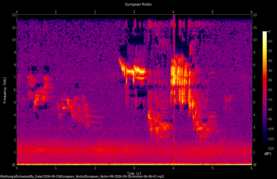 Spectrogram of a European Robin recorded at 06:45:42