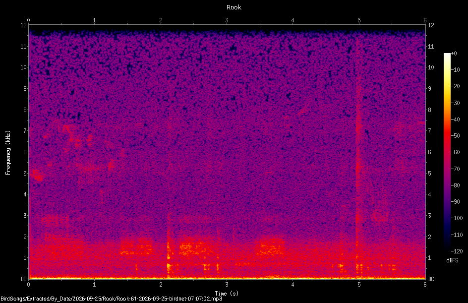 Spectrogram of a Rook recorded at 07:07:02