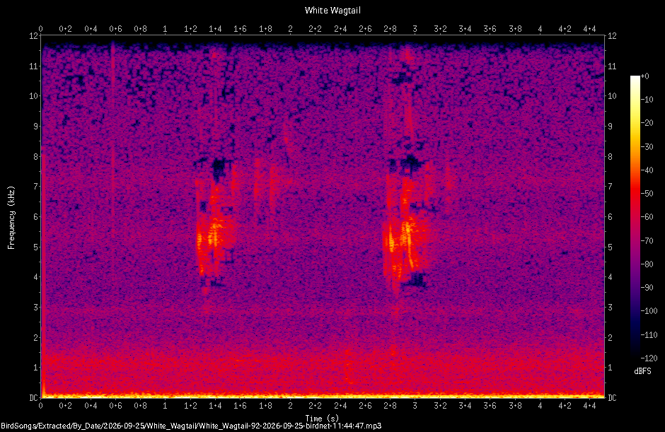 Spectrogram of a White Wagtail recorded at 11:44:47