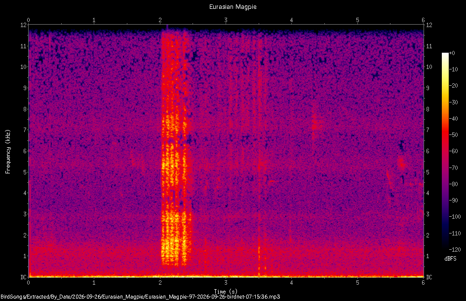 Spectrogram of a Eurasian Magpie recorded at 07:15:36