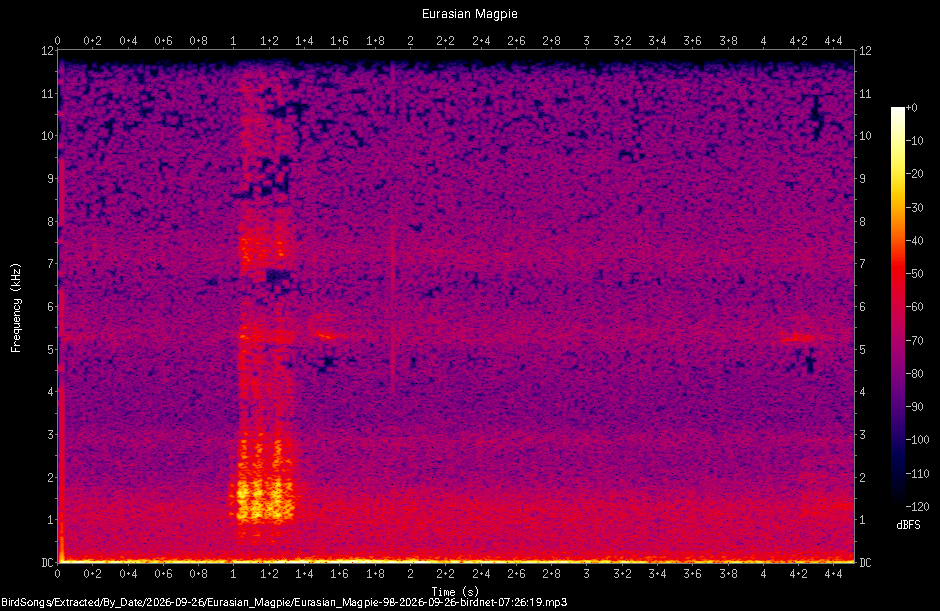 Spectrogram of a Eurasian Magpie recorded at 07:26:19