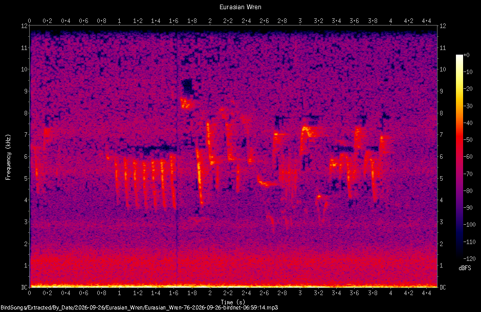 Spectrogram of a Eurasian Wren recorded at 06:59:14