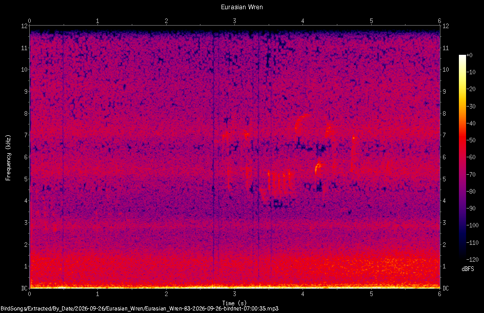 Spectrogram of a Eurasian Wren recorded at 07:00:35