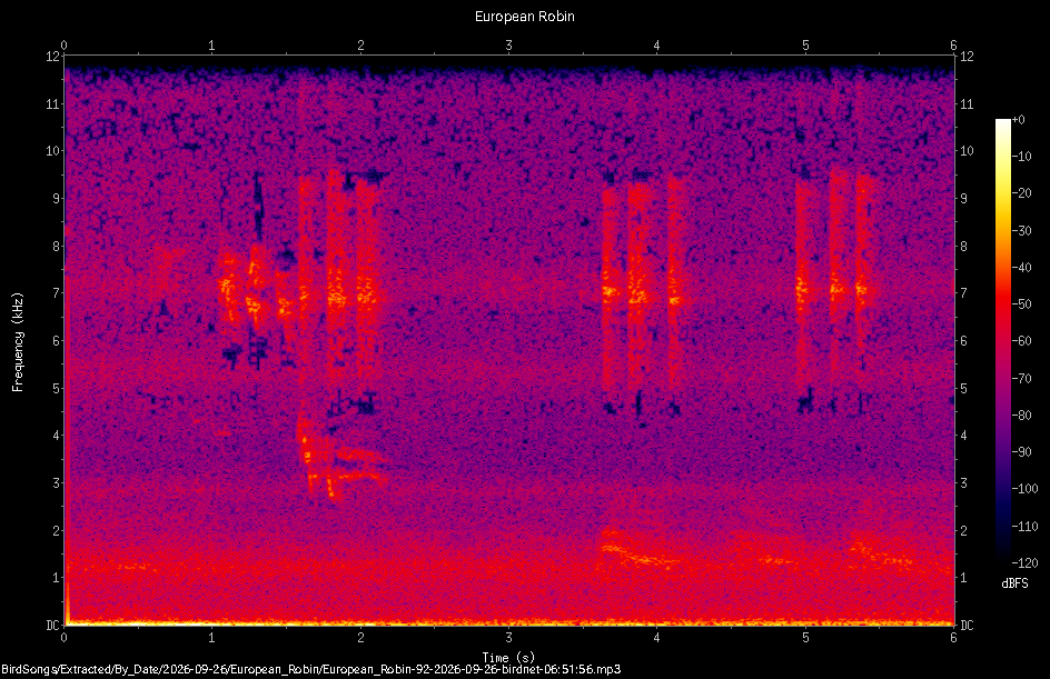 Spectrogram of a European Robin recorded at 06:51:56