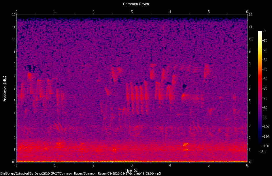 Spectrogram of a Common Raven recorded at 19:05:00