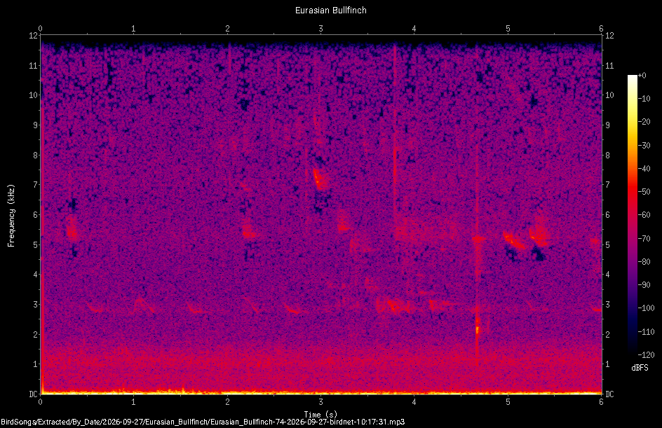 Spectrogram of a Eurasian Bullfinch recorded at 10:17:31