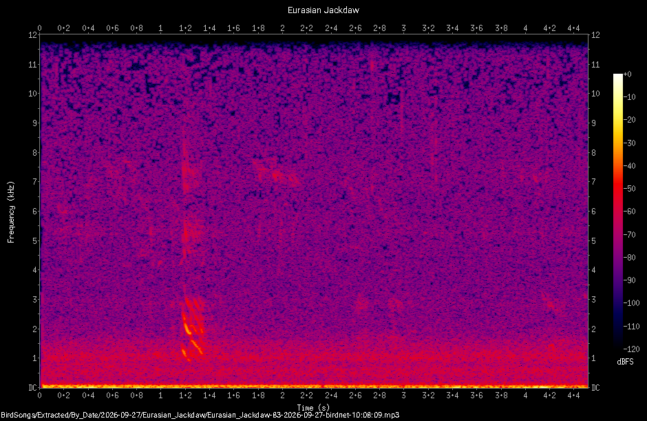 Spectrogram of a Eurasian Jackdaw recorded at 10:08:09