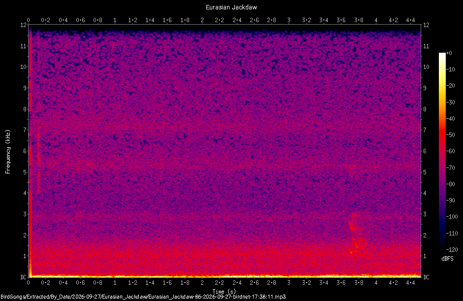 Spectrogram of a Eurasian Jackdaw recorded at 17:38:11