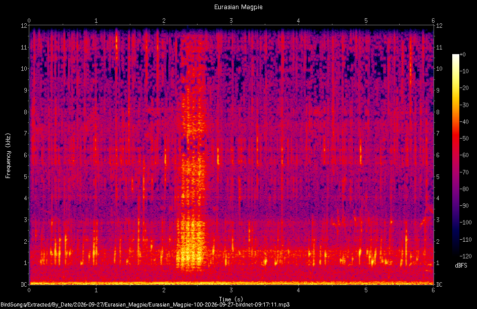 Spectrogram of a Eurasian Magpie recorded at 09:17:11