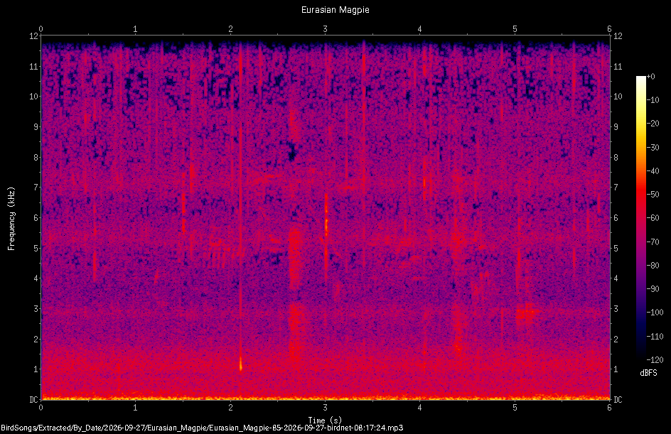 Spectrogram of a Eurasian Magpie recorded at 08:17:24