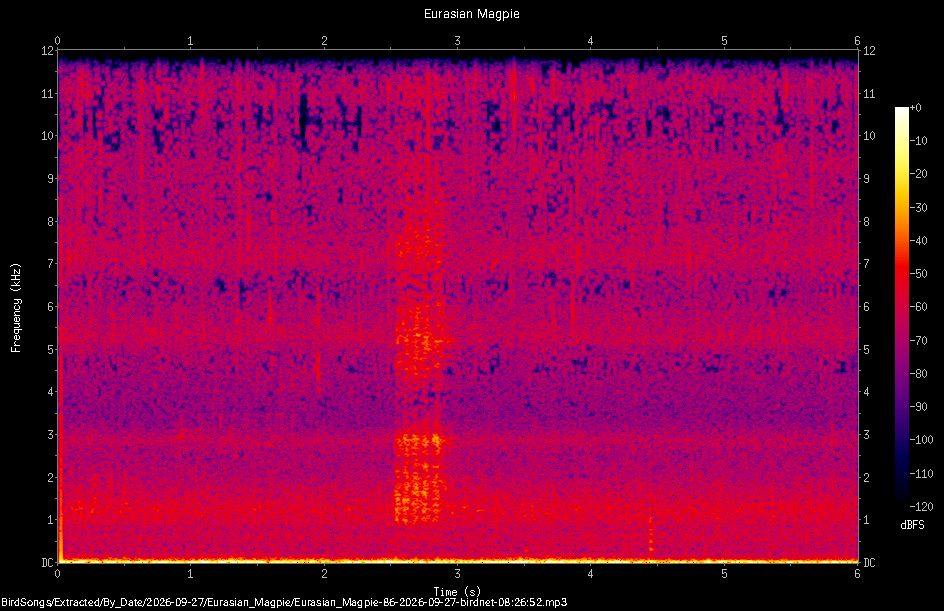 Spectrogram of a Eurasian Magpie recorded at 08:26:52