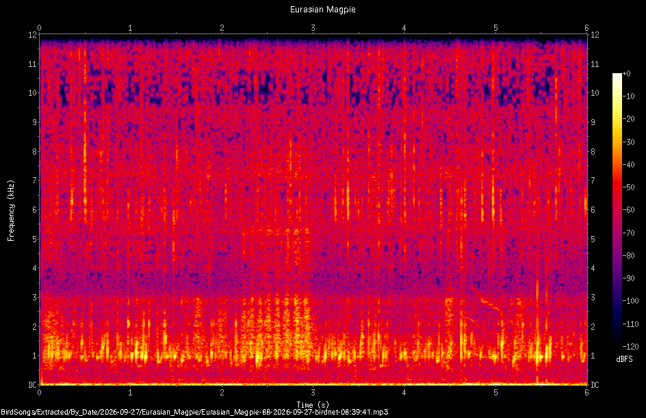 Spectrogram of a Eurasian Magpie recorded at 08:39:41