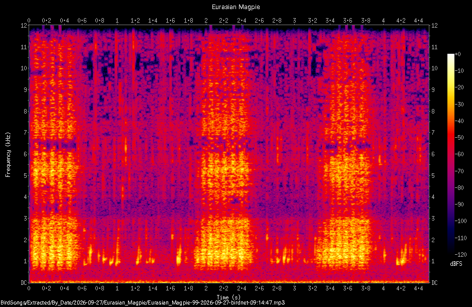 Spectrogram of a Eurasian Magpie recorded at 09:14:47