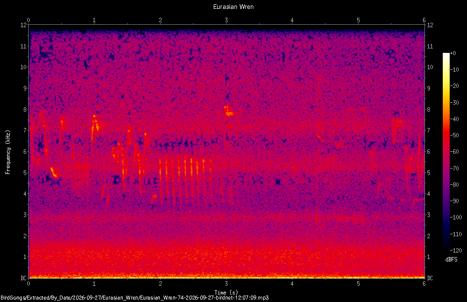 Spectrogram of a Eurasian Wren recorded at 12:07:09