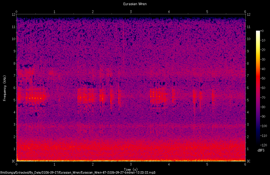 Spectrogram of a Eurasian Wren recorded at 12:23:22