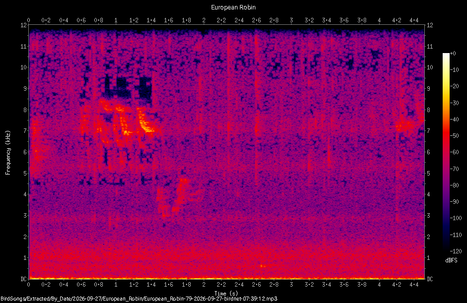 Spectrogram of a European Robin recorded at 07:39:12