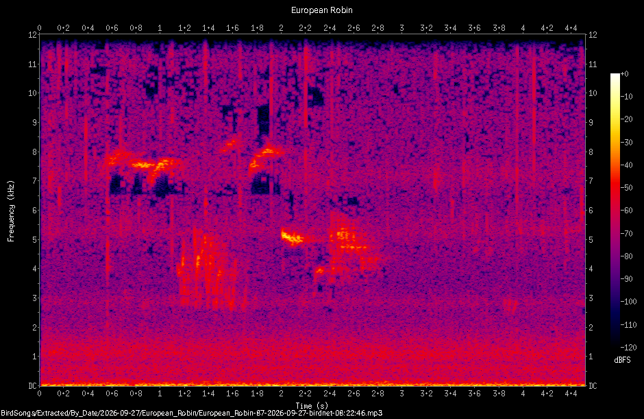 Spectrogram of a European Robin recorded at 08:22:46