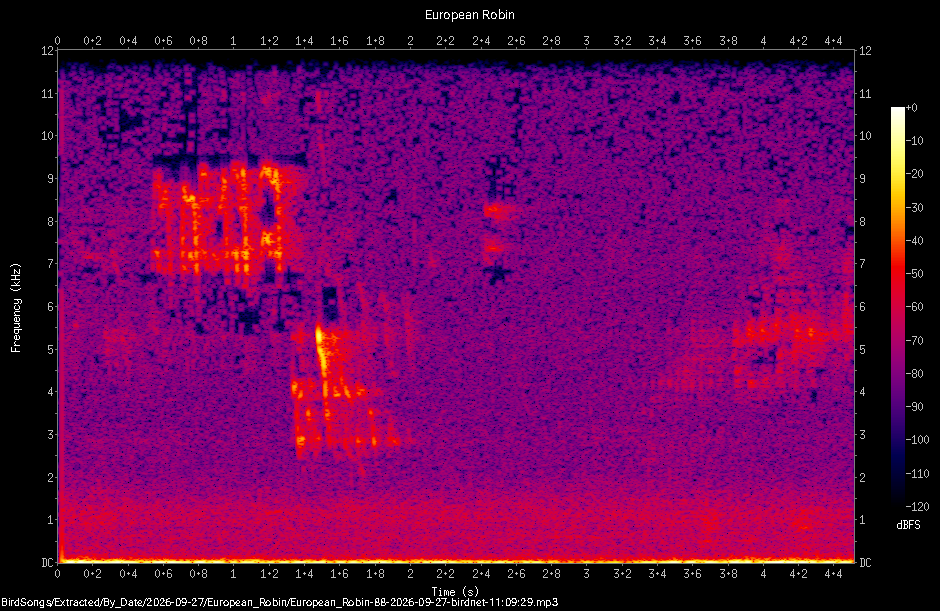 Spectrogram of a European Robin recorded at 11:09:29