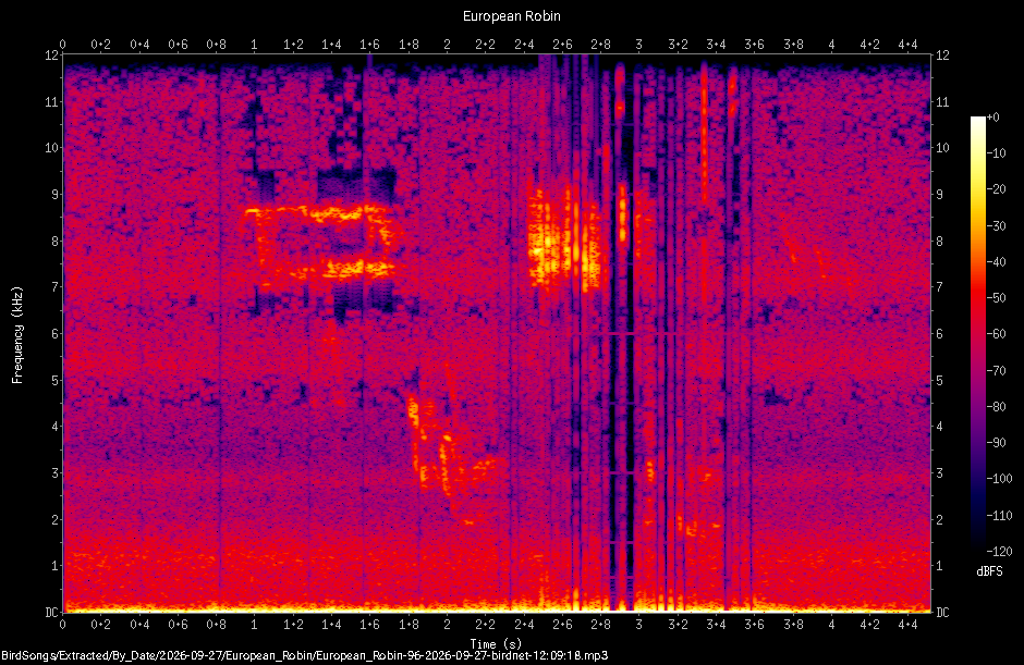 Spectrogram of a European Robin recorded at 12:09:18
