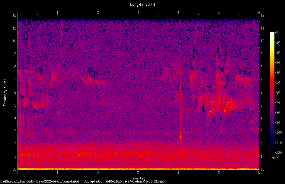 Spectrogram of a Long-tailed Tit recorded at 10:05:33