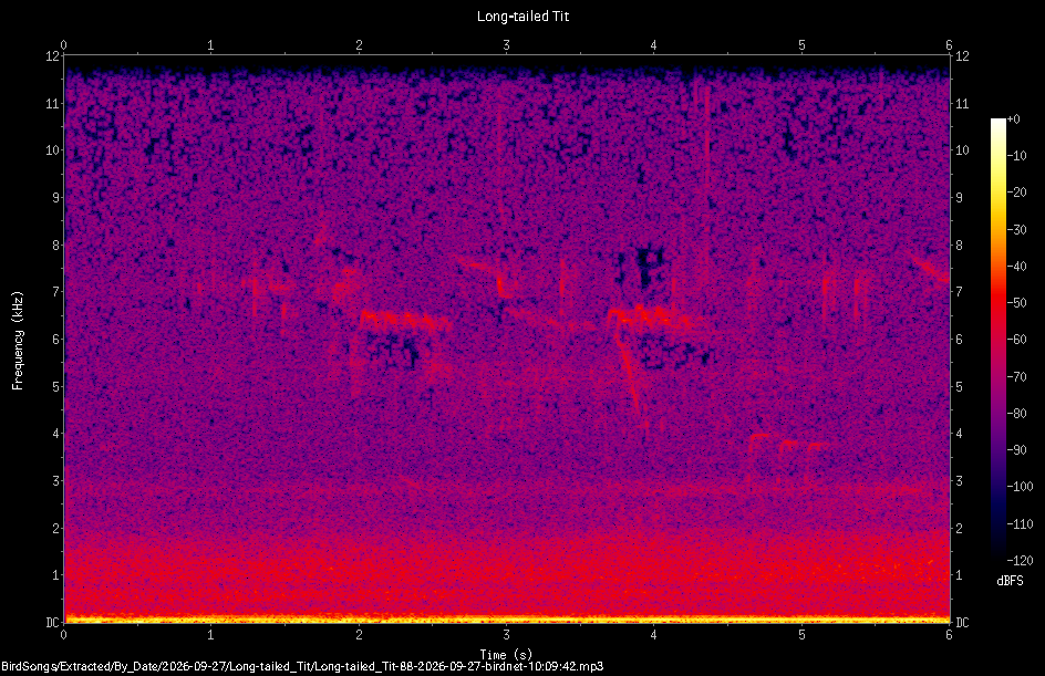 Spectrogram of a Long-tailed Tit recorded at 10:09:42