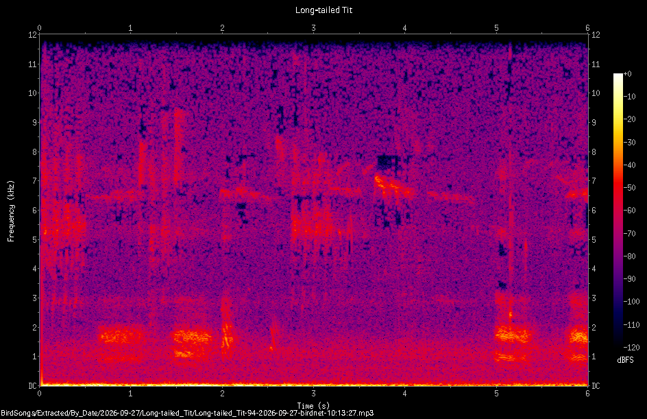 Spectrogram of a Long-tailed Tit recorded at 10:13:27