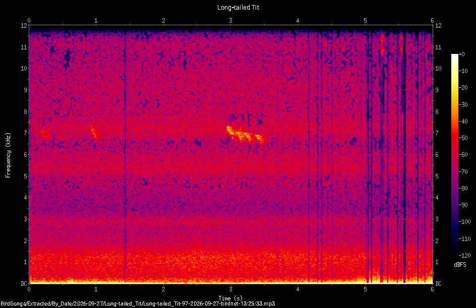 Spectrogram of a Long-tailed Tit recorded at 13:25:33