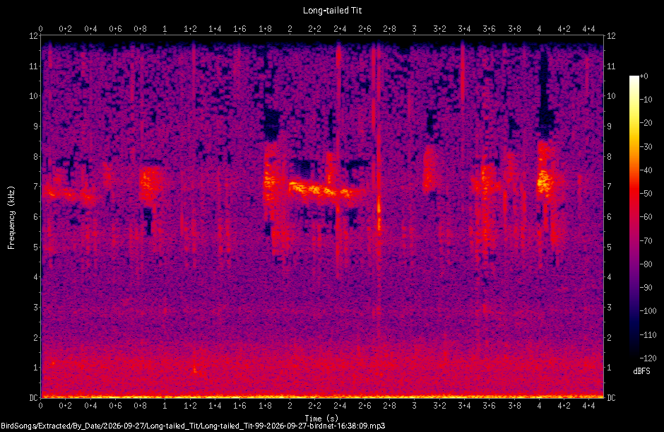 Spectrogram of a Long-tailed Tit recorded at 16:38:09