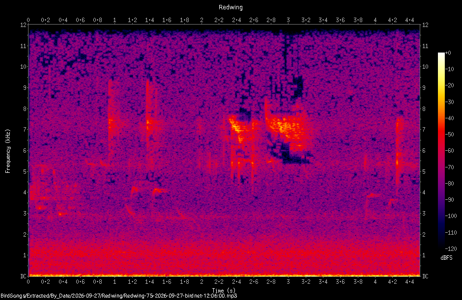 Spectrogram of a Redwing recorded at 12:06:00