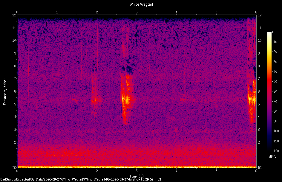 Spectrogram of a White Wagtail recorded at 10:29:58