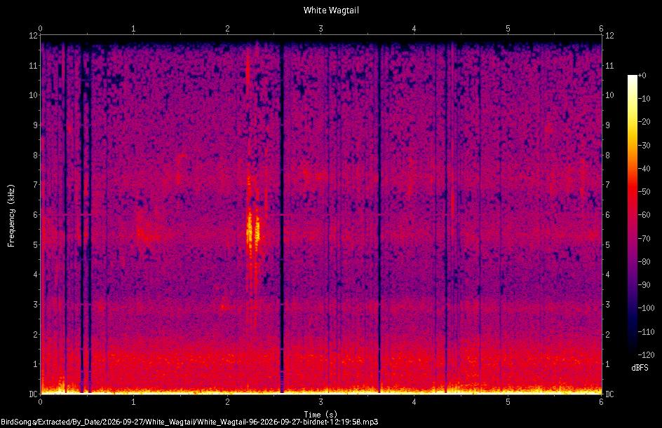 Spectrogram of a White Wagtail recorded at 12:19:58