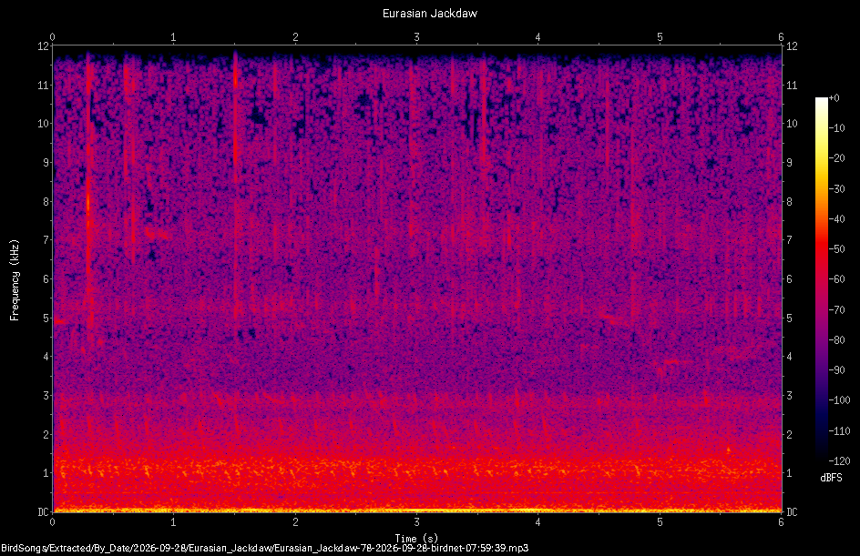 Spectrogram of a Eurasian Jackdaw recorded at 07:59:39