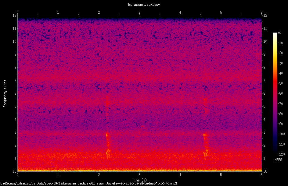 Spectrogram of a Eurasian Jackdaw recorded at 15:56:46