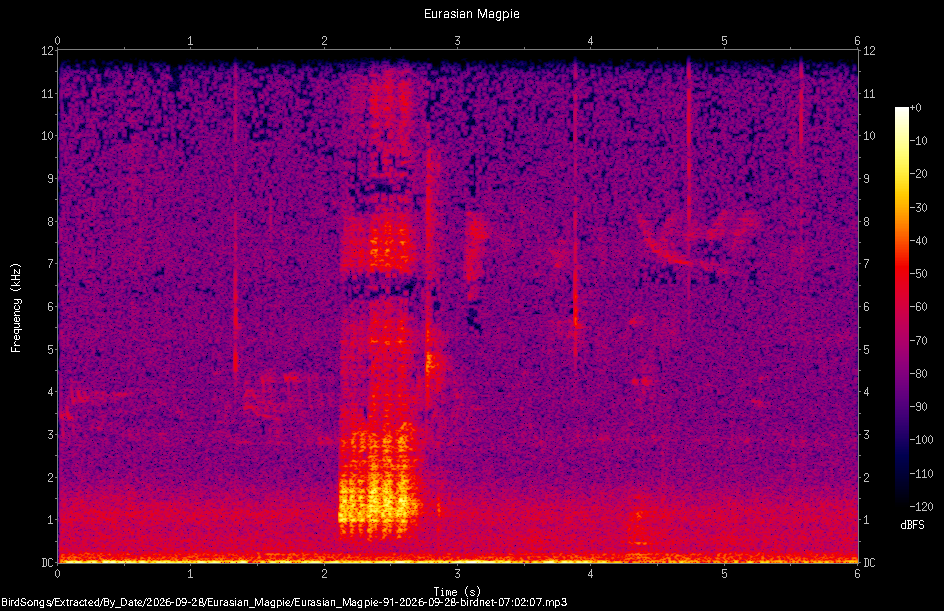 Spectrogram of a Eurasian Magpie recorded at 07:02:07