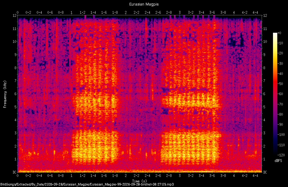 Spectrogram of a Eurasian Magpie recorded at 08:27:05
