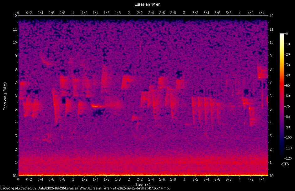 Spectrogram of a Eurasian Wren recorded at 07:05:14