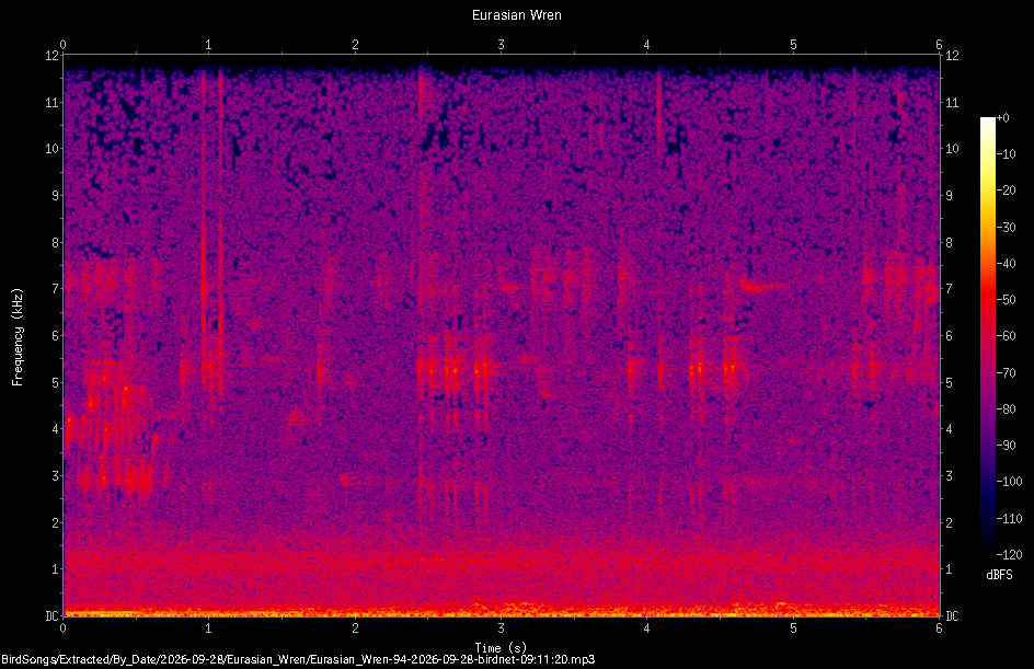Spectrogram of a Eurasian Wren recorded at 09:11:20